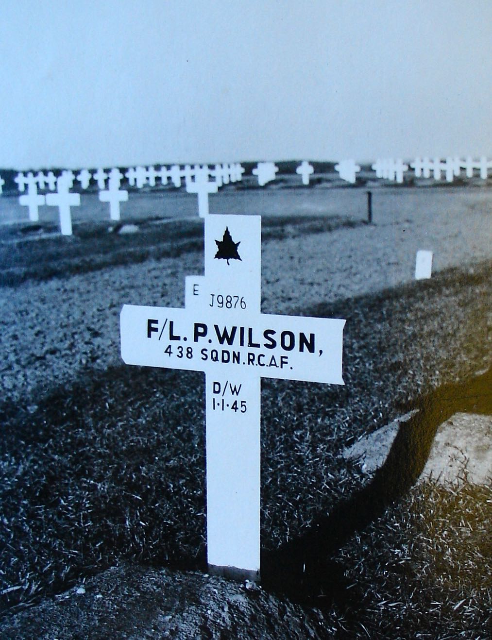 peter wilson the thirty years war